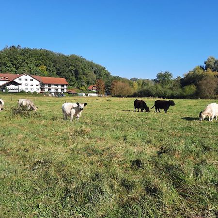 Landgasthof Rotlipp Gaestezimmer Ortenberg (Hessen) Exterior foto