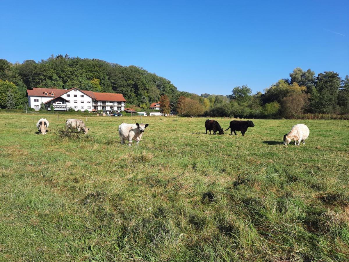 Landgasthof Rotlipp Gaestezimmer Ortenberg (Hessen) Exterior foto